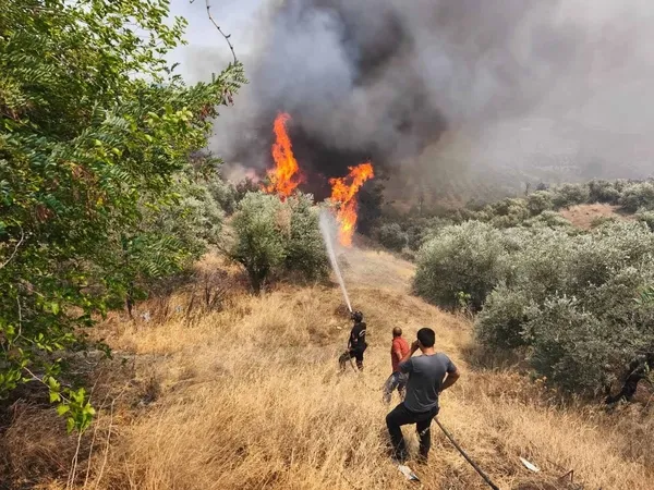 Hatay Orman Yangını
