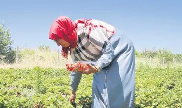 Bir gazete kupürü hayatını değiştirdi #malatya