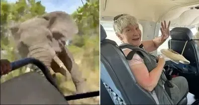 Korkunç son! Safariye çıkan 79 yaşındaki kadını fil böyle ezdi