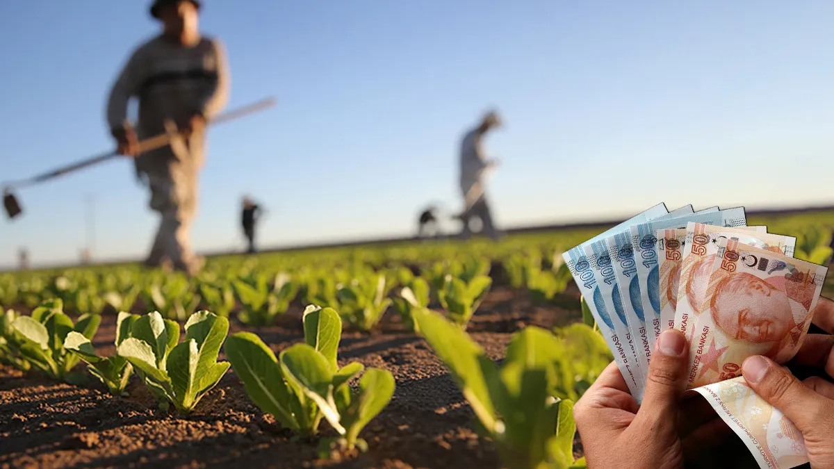 Hemen banka hesabınızı kontrol edin! Çiftçilerin yüzünü güldürecek para yatırıldı