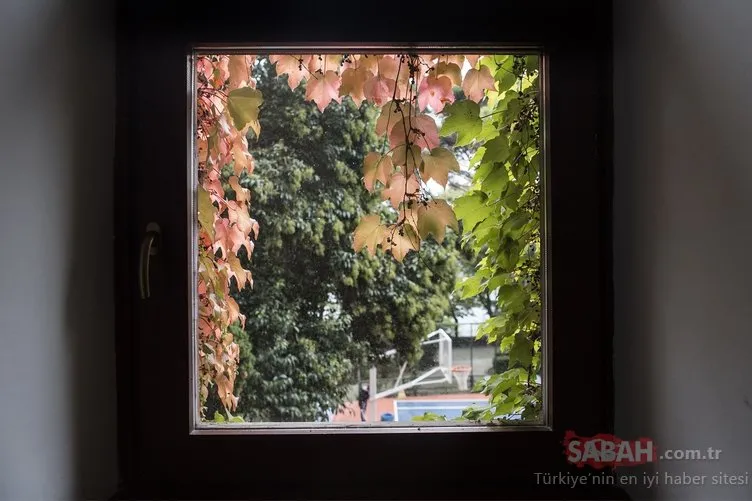 Boğaziçi Üniversitesi’nde sonbahar… Boğaziçi güze ‘Merhaba’ diyor