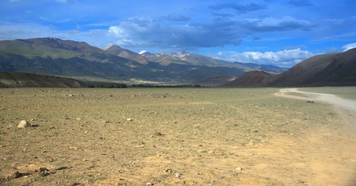 karasal iklimin bitki ortusu ozellikleri nelerdir karasal iklimin bitki ortusu nedir son dakika haberler karasal iklimin bitki ortusu ozellikleri nelerdir karasal iklimin bitki ortusu nedir son dakika haberler