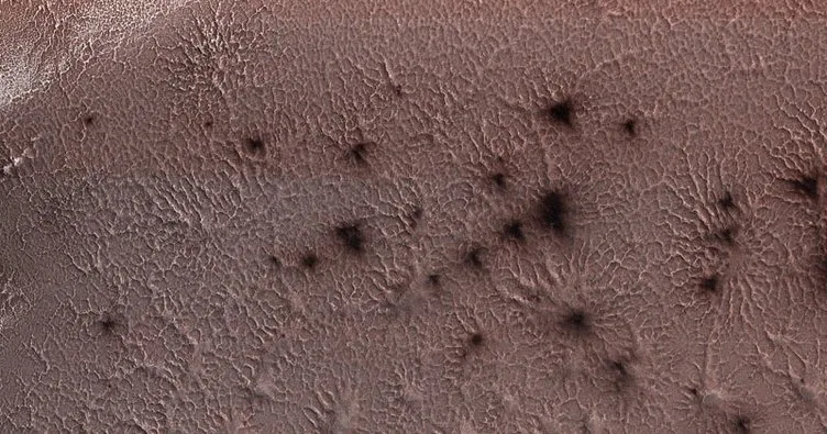 Mars örümceklerinin yeni görseli paylaşıldı