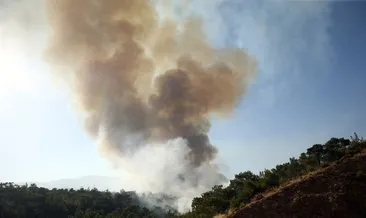 Mersin’deki orman yangına müdahale sürüyor: Vatandaşlar seferber oldu