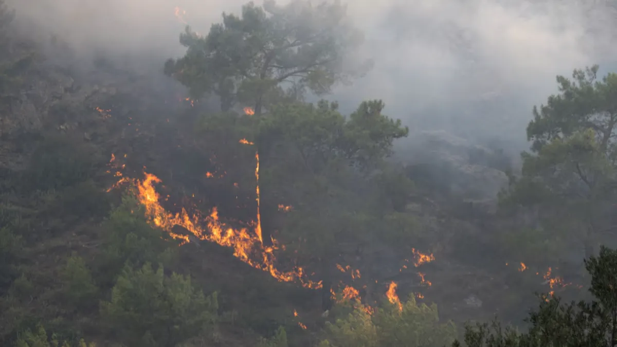 Yunanistan'ın Rodos Adası'nda çıkan orman yangını havadan görüntülendi.
