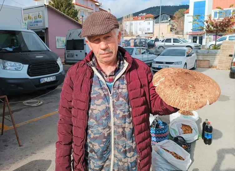 Bu mantarın kilo fiyatı duyanları şaşırtıyor: Dokunmak 15 koklamak ise 20 TL!