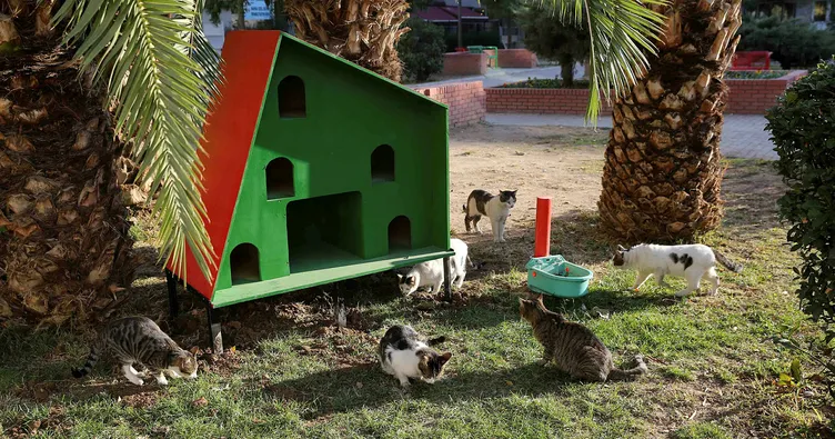 Sokak hayvanlarına sıcak yuva