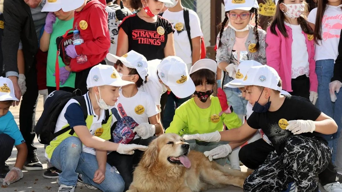 Türkiye’nin en büyük doğal yaşam pati evi Kayseri’de... 15 bin metrekare alanda köpekler rehabilite ediliyor