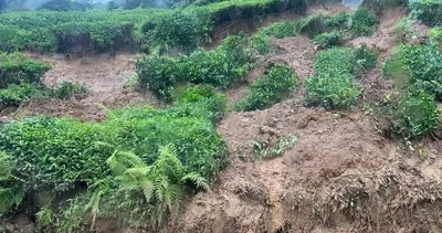 Rize’deki sel felaketinin ardından tarım arazilerinde hasar tespit çalışmaları sürüyor