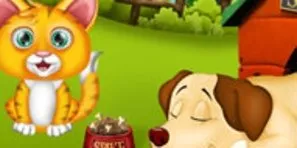 kedi oyunlari oyna sabah oyun
