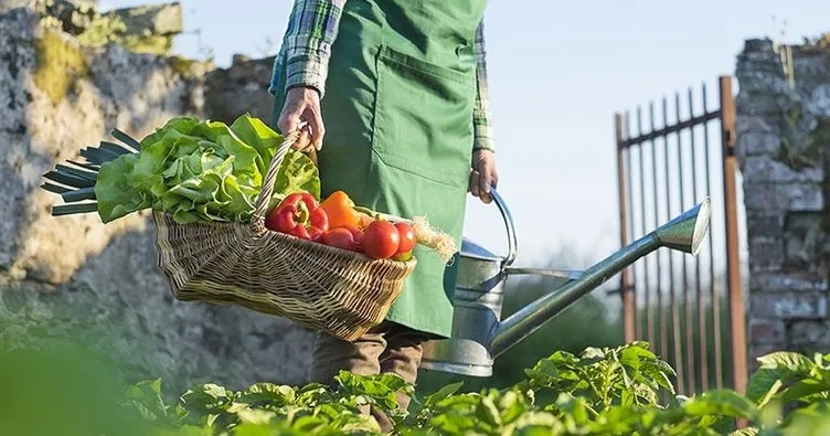 Organik tarım ve permakültür konvansiyonel tarıma alternatif sunuyor