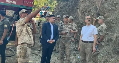 Hatay Amanosların ciğerleri yandı #hatay