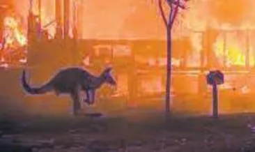 Kuzey donuyor güney yanıyor