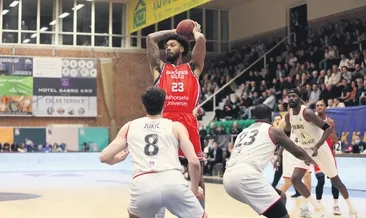 Bahçeşehir çeyrek final biletini aldı