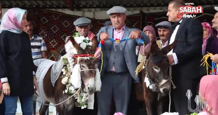 Nesli tükenme tehlikesi olan eşeklere sembolik nikah töreni yapıldı | Video