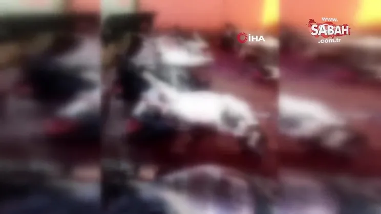 Adana’da kesilmiş 12 eşek ele geçirildi! | Video