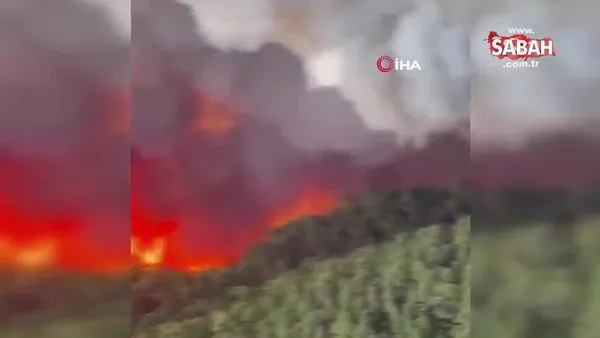 İspanya'nın Tenerife Adası'ndaki yangın büyüyor | Video