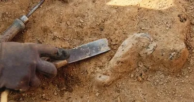 Tarladaki çatlağı fenerle inceledi: Yerin metrelerce altında saklı 100 yıllık şehir çıktı!