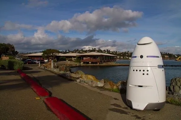 Silikon Vadisi robotlara emanet