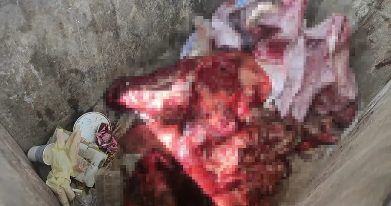 Bursa’da bir çöp konteynerinde parcalanmış ayı bulundu