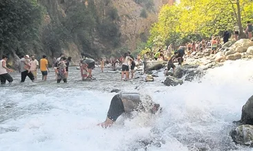 Maceranın tek adresi