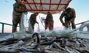 Balıkçılara indirimli tarım kredisi