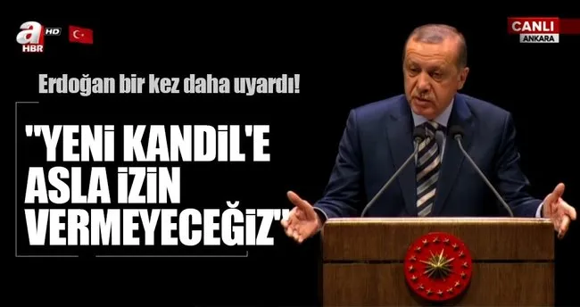 Cumhurbaşkanı Erdoğan: Yanımda milletimden başka kimseyi bulamadım