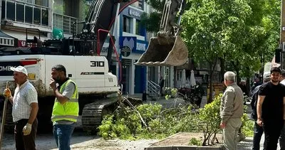 Büyükçekmece Belediyesi’nden ağaç katliamı! Bölge esnafı ve vatandaş tepki gösterdi