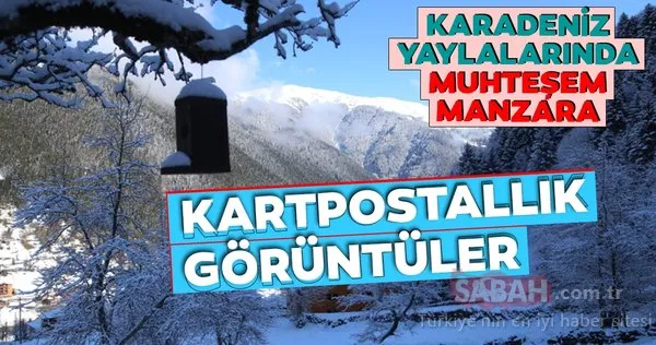 Rize, Ordu ve Giresun'un yaylaları beyaza büründü! İşte büyüleyen kareler...