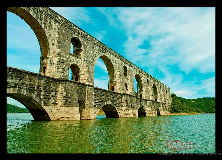 Büyük usta 529 yaşında!