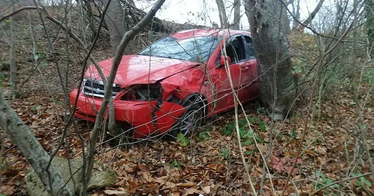 Otomobil ormana uçtu: 1 yaralı