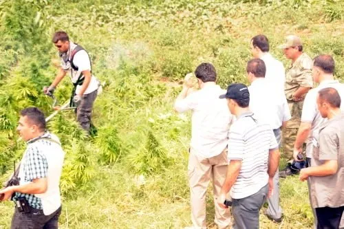 PKK'nın beli kurulduğu ovada büküldü