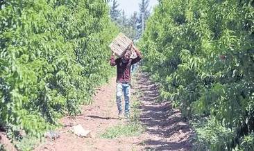 Çiftçi avantajı kullanmak istiyor