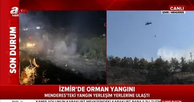 Son Dakika: İzmir’de orman yangını! Tahliye edilen yerleşim yerine sıçradı... Canlı yayınla son durum | Video