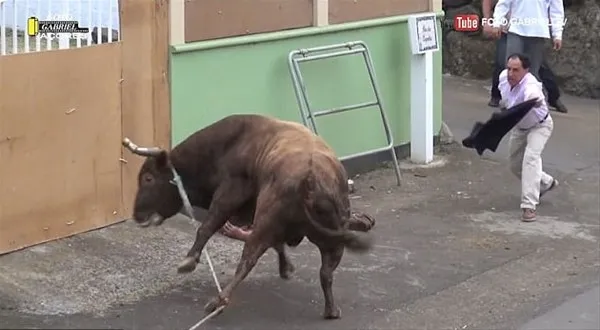 Boğa'nın gazabına uğradı