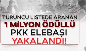 Son dakika: Turuncu listedeki PKK yöneticisi Mahmut Okay yaralı olarak ele geçirildi!