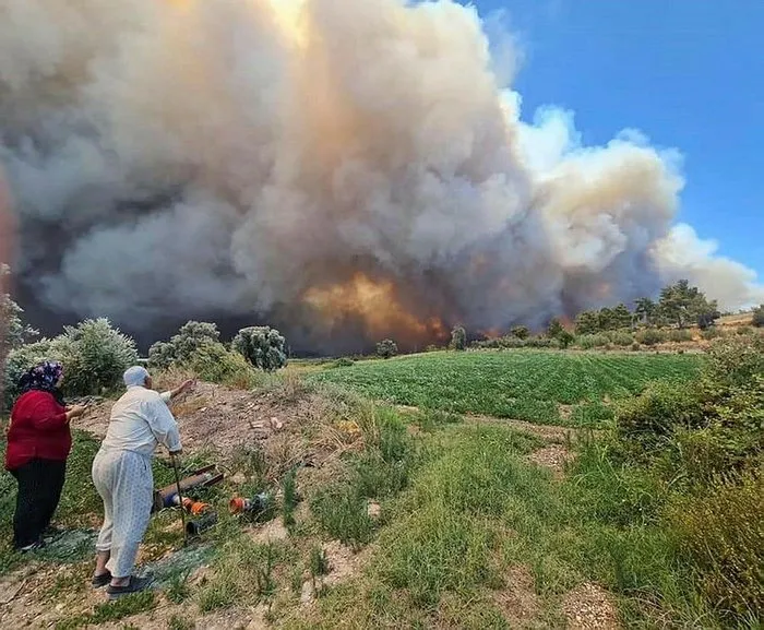 son dakika hangi illerde yangin cikti 30 temmuz bodrum manavgat marmaris istanbul yangininda son durum yangin cikan yerler istanbul kocaeli korfez son dakika yasam haberleri