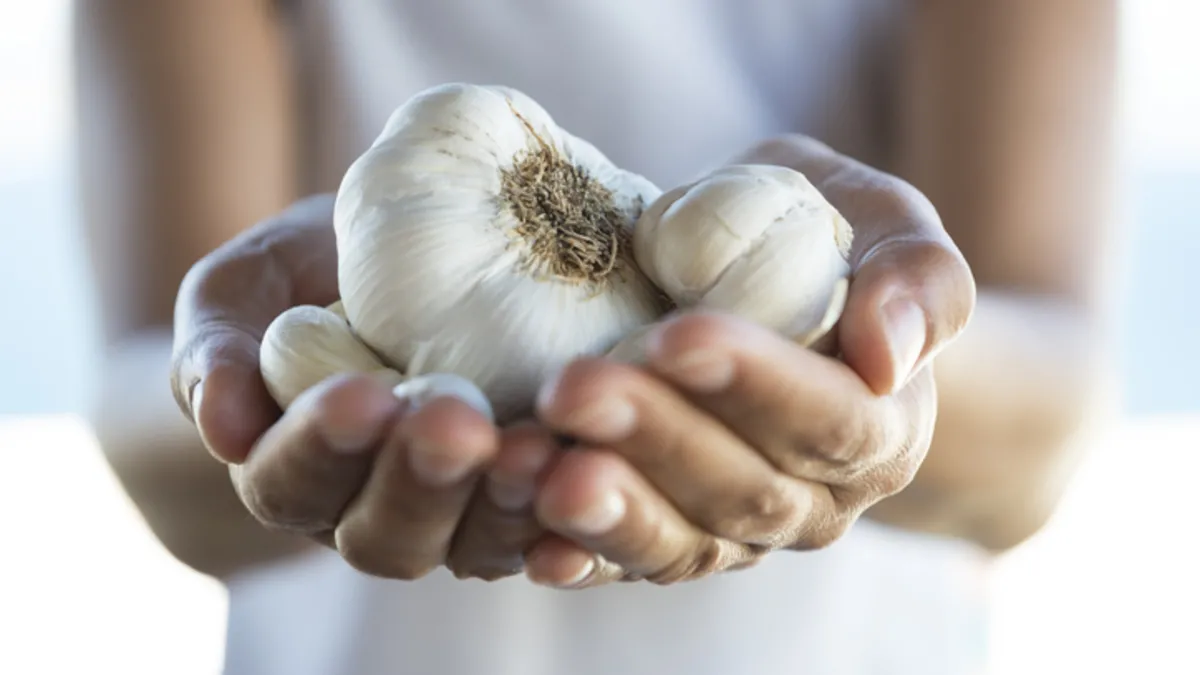 Sümer kralları bile onun peşindeydi! Binlerce yıllık doğal antibiyotik Sümer kralları bile onun peşindeydi! Binlerce yıllık doğal antibiyotik