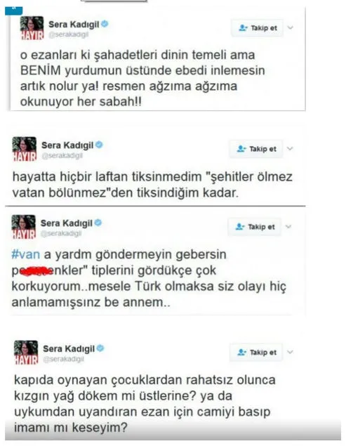 Ezana hakaret eden CHP'li Sera Kadıgil mahkemede kıvırdı - 1