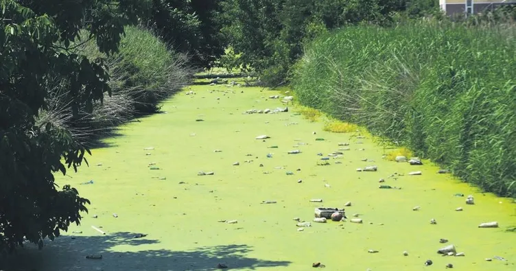 Bayır deresi temizleniyor