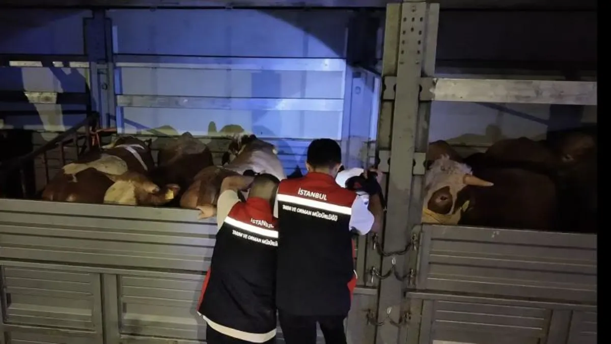 Kurban Bayramı öncesi İstanbul’da yoğun mesai: Ekipler tırları tek tek kontrol ediyor Kurban Bayramı öncesi İstanbul’da yoğun mesai: Ekipler tırları tek tek kontrol ediyor