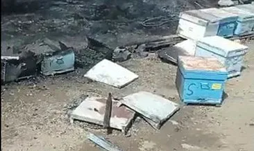 Bakan Yardımcısı Çataklı: Marmaris yangını, arıcının yaktığı ateşle çıktı #mugla