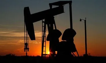 Küresel petrol talebi bu yıl yüzde 4,9 azalacak