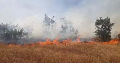Bingöl’de orman yangını kısa sürede söndürüldü