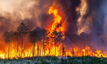 İngiltere’de yanıyor! Geçen yıla göre 500 fazla orman yangını çıktı