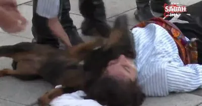Kocaeli’de yürek ısıtan görüntü... Sahipsiz köpek, yaralı sandığı tiyatro oyuncusundan ayrılmak istemedi | Video