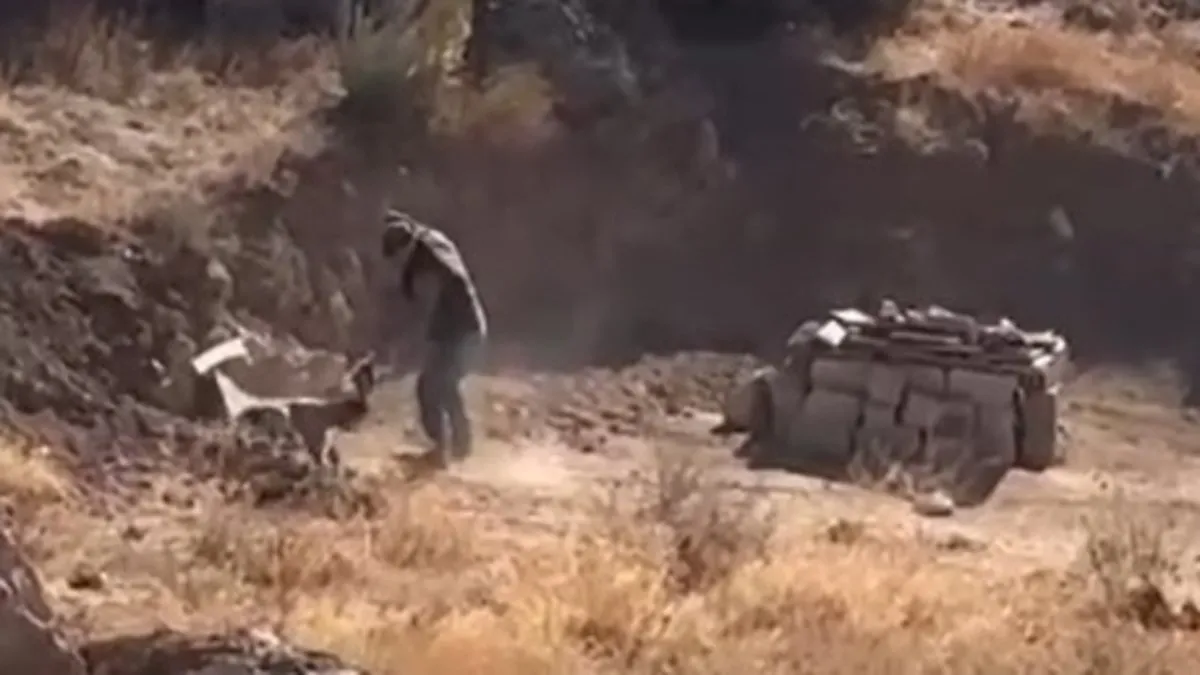Yavru köpeğe şiddete tutuklama