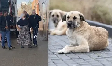 Diyarbakır’da vahşet: 72 yaşındaki kadına köpeği saldırdı!