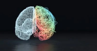 Google insan beyninin haritasını ortaya çıkardı