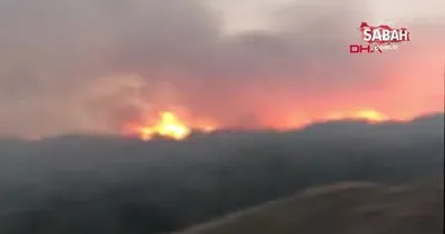 Sivas’ta orman yangını